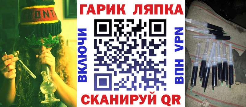 Купить Новозыбков ГАШ Premium