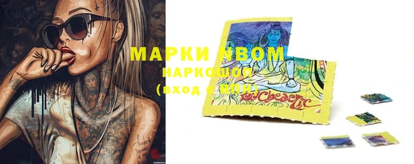 ГАЛЛЮЦИНОГЕННЫЕ ГРИБЫ Горняк