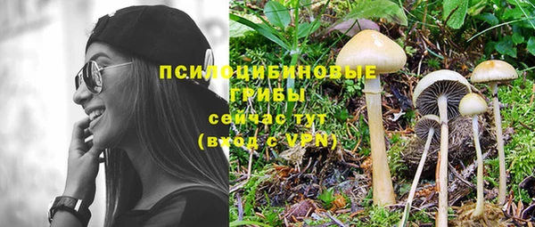ГАЛЛЮЦИНОГЕННЫЕ ГРИБЫ Горняк