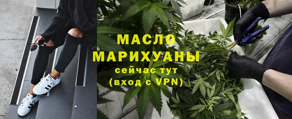 молекула духа Гусев
