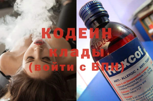 ГАЛЛЮЦИНОГЕННЫЕ ГРИБЫ Горняк