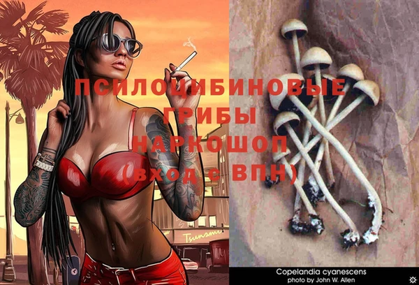 ГАЛЛЮЦИНОГЕННЫЕ ГРИБЫ Горняк
