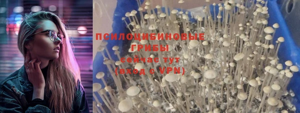 меф Горнозаводск