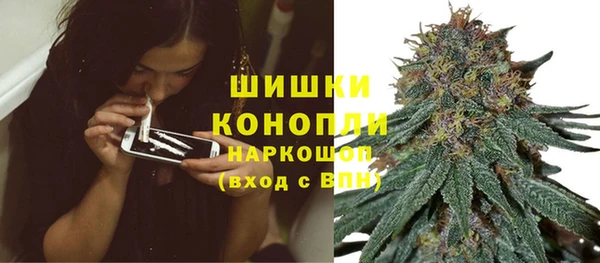 ГАЛЛЮЦИНОГЕННЫЕ ГРИБЫ Горняк