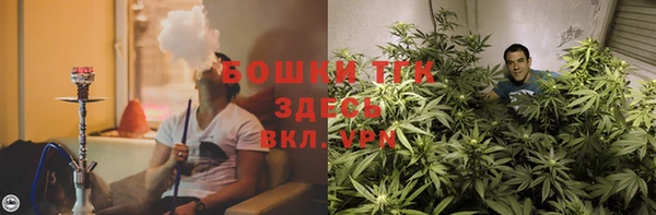 ГАЛЛЮЦИНОГЕННЫЕ ГРИБЫ Горняк