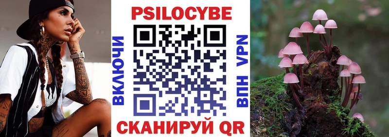 Купить где  Новозыбков  Псилоцибиновые грибы ЛСД 